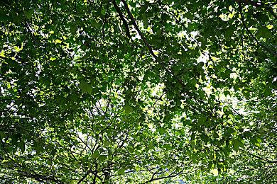 《匹诺曹的谎言》Boss实机 9月19日发售