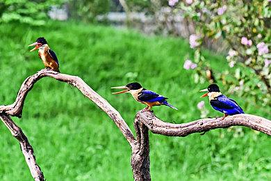 EA前员工合伙创立游戏工作室 计划在今年推出多个项目